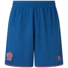 OGC Nice Third Replica Shorts 2025/2026